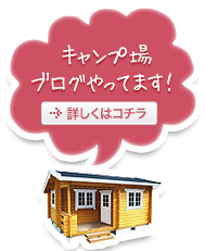 キャンプ場ブログ