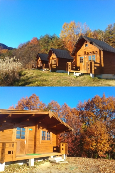 今シーズンの営業は11月24日（月）まで写真